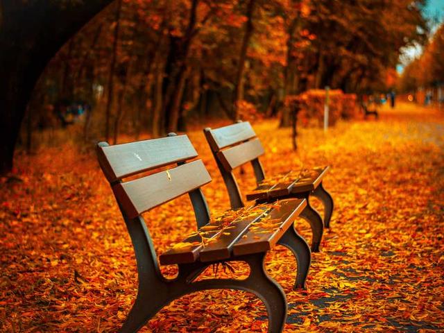 Dolore tenetur rem voluptatibus.